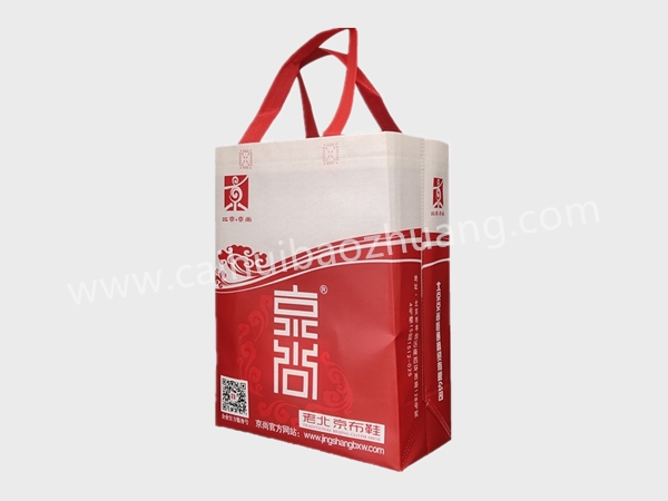 彩匯包裝  鞋盒手提袋  無(wú)紡布手提袋